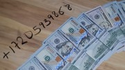 High quality banknotes for sale with samples